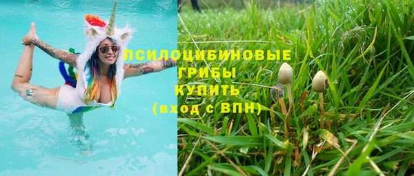 бошки Абаза
