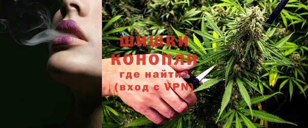 ПСИЛОЦИБИНОВЫЕ ГРИБЫ Протвино