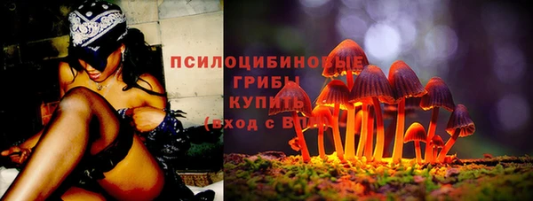 бошки Абаза